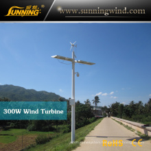 off-Grid Hybrid Solar Wind System 300W Camping Wind Turbine